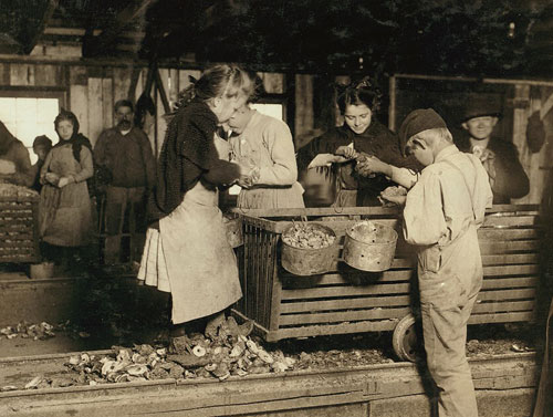 A young girl stands on rough shells while shucking oysters
