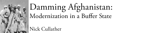Damming Afghanistan: Modernization in a Buffer State, by Nick Cullather