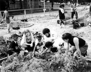 Students from the University of Pennsylvania cultivate eggplants with students in the Urban Nutrition Initiative Summer Camp at Drew Elementary School in West Philadelphia